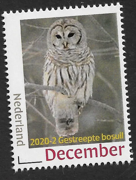 Nederland 2020-2 uilen owl Bosuil postfris-mnh