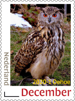 Owls Eagle Owl 2020-1 MNH