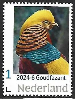 Pays-Bas 2024-6 Oiseaux : Faisan doré neuf/ns