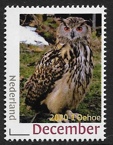 Nederland 2020-1 uilen owl postfris-mnh
