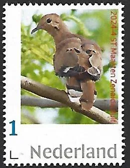 Netherlands 2024-4 Caribbean Netherlands St Maarten Zenaida Dove bird MNH