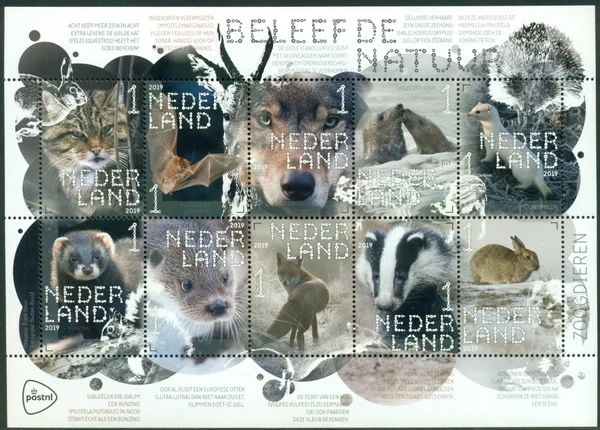 Netherlands V3711-3720 Experience Nature Mammals sheetlet 2019 MNH
