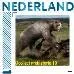 NETHERLANDS UCOLLECT Prehistory 10 Arctodus Simus (bear) MNH