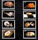 Netherlands Antilles year set 2008 complete MNH