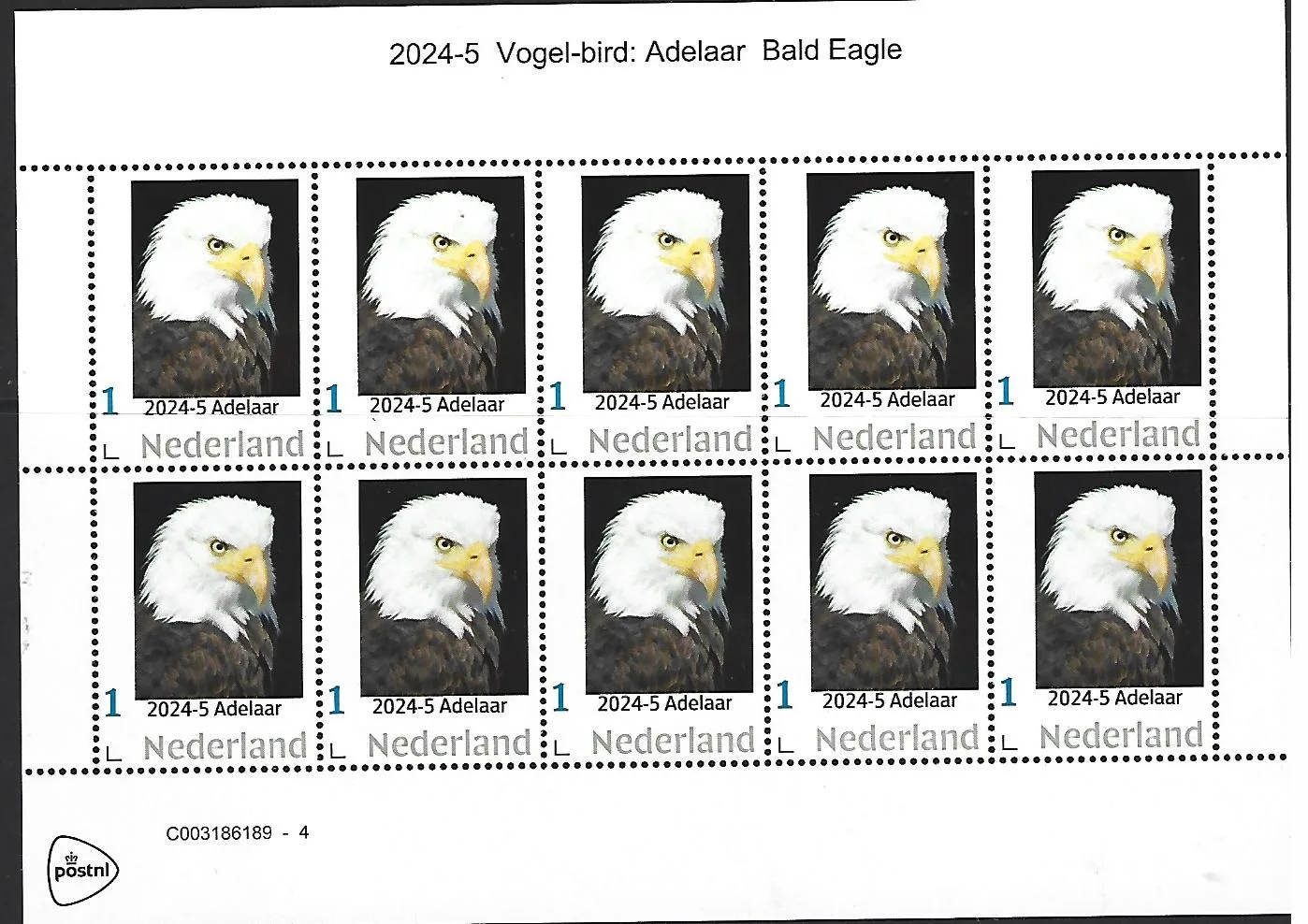 Niederlande 2024-5 Vogel Bird: Adelaar Bald Eagle Markenheftchen postfrisch/mnh