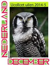 Netherlands 2014 uCollect owls 5 owl Eulen Eurasian Sparrowhawk-owl MNH