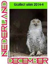 Nederland 2014 Ucollect uilen 4 owls eulen witte uil postfris/mnh