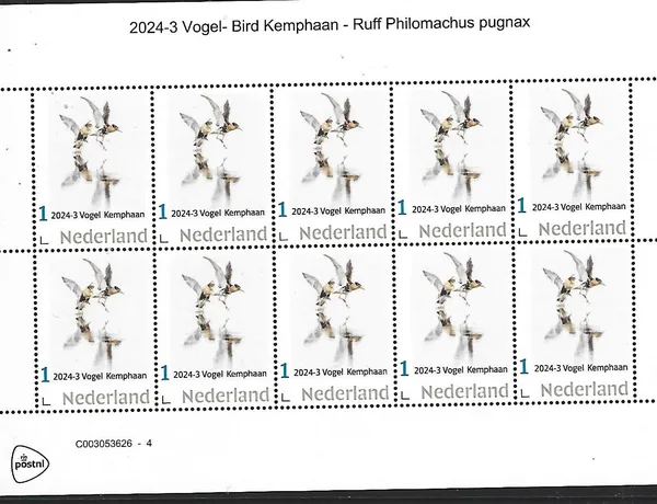Nederland 2024-3 Vogel Birds: Kemphaan Ruff sheetlet postfris/mnh
