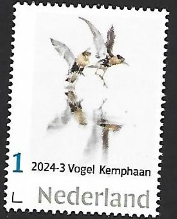 Pays-Bas 2024-3 Oiseau Birds: Combattant Ruff neuf/mnh