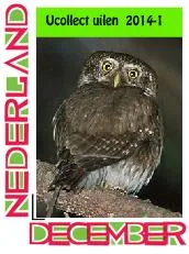 Niederlande 2014 Ucollect Eulen 1 Zwergkauz postfrisch/mnh