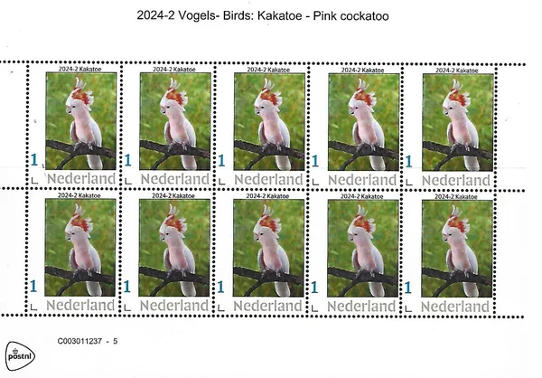 Netherlands 2024-2 Bird: Pink Cockatoo sheetlet MNH