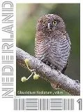 Netherlands 2013 Jungle Dwarf Owl 20 MNH