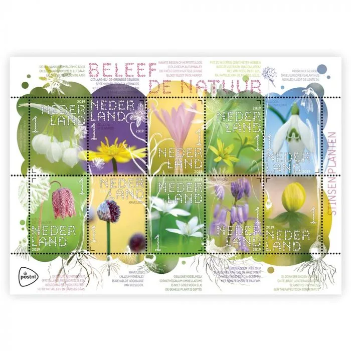 Netherlands V3726-3735 Experience Nature Stinsenplants 2019 sheet MNH