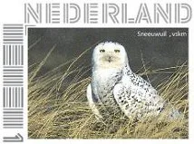 Niederlande 2013 Zwergohreule 19 postfrisch/mnh