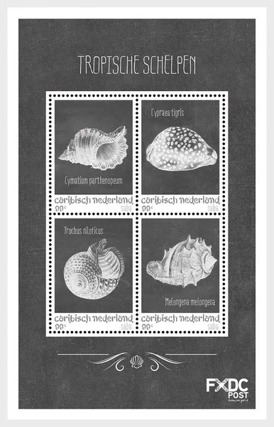 Caribisch Nederland Saba 2018 Schelpen shells (black-white) blok-m/s postfris