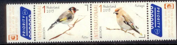 Nederland 3738-3739 Vogels in Nederland Posteuropa 2019 postfris-mnh