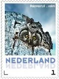 Nederland 2013 Ruigpootuil uilen 18 postfris/mnh