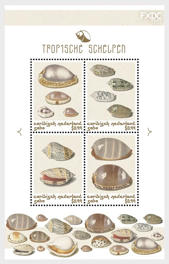 Caribbean Netherlands Saba 2018 Shells (brown) block-m/s MNH