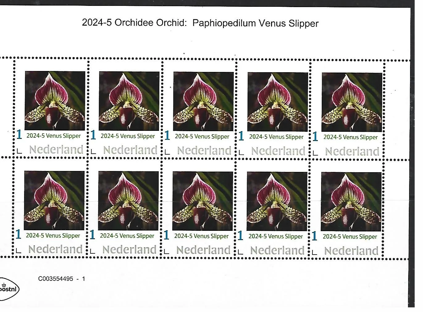 Niederlande 2023-5 Orchidee Venusschuh Markenheft postfrisch/ungebraucht
