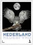 Nederland 2013 Lapland uil bij maan uilen 16 postfris/mnh