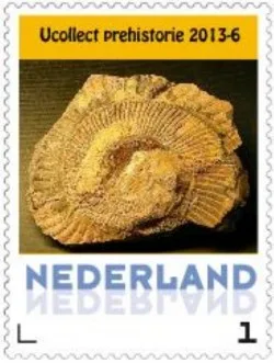 Netherlands 2013-6 Ucollect Prehistory Fossils MNH