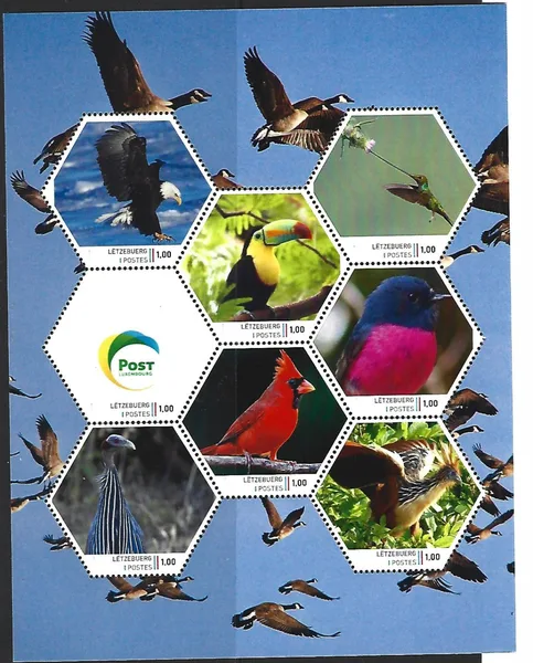Luxembourg 2024-1 Birds Owls sheetlet MNH