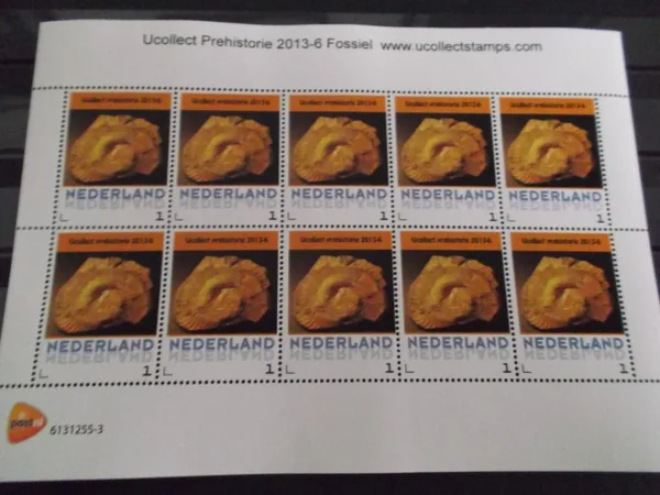 Netherlands 2013-6 Ucollect Prehistory Fossils sheet MNH