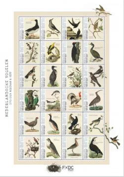 Caribisch Nederland Saba 2021 Birds Sheetlet MNH