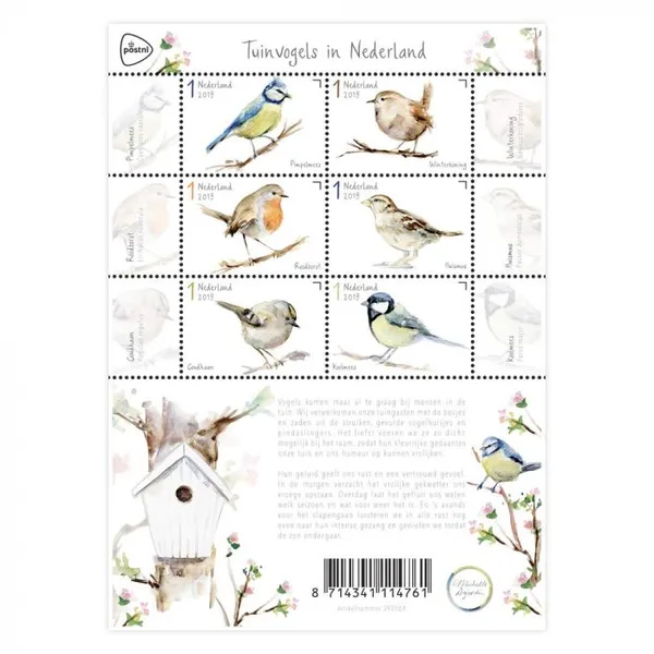 Nederland V3743-3748 Tuinvogels in Nederland birds vel-sheetlet 2019 postfris-mnh