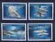 427-430 Dolphins 2009