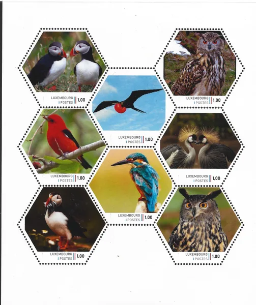 Luxemburg 2023 Birds owls puffin fregat bird sheetlet postfris/mnh