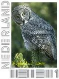 Nederland 2012 Ucollect Uilen 5 Laplanduil - owl postfris/mnh