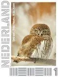 Nederland 2012 Ucollect Uilen 6 Dwerguil - owl postfris/mnh