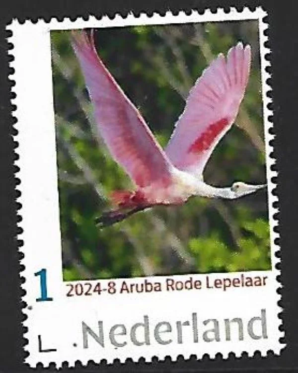 Pays-Bas 2023-8 Car.Pays-Bas Aruba Spatule rose neuf/mnh