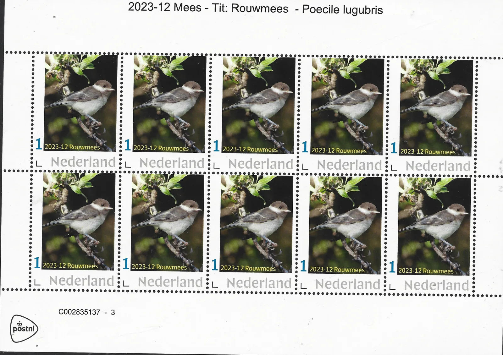 Pays-Bas 2023-12 Mésanges Mésange lugubre feuillet vel postfris/mnh