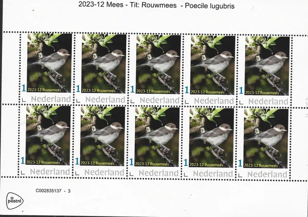 Nederland 2023-12 Mezen-Tits Rouwmees Poecille Lugubris vel-sheetlet postfris/mnh