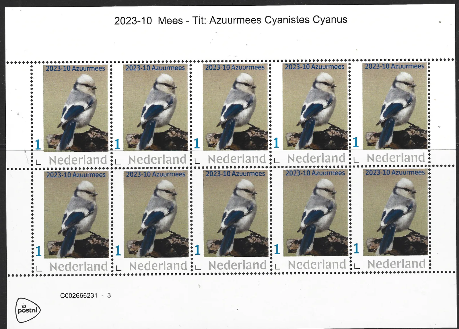 Niederlande 2023-10 Meisen: Blaumeise Cyanistes Cyanus Vel-Blockausschnitt postfrisch/mnh