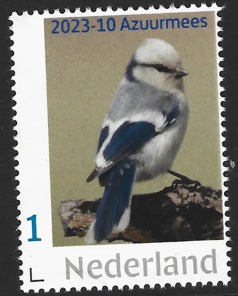 Nederland 2023-10 Mezen tits:Azuurmees Cyanistes Cyanus postfris//mnh