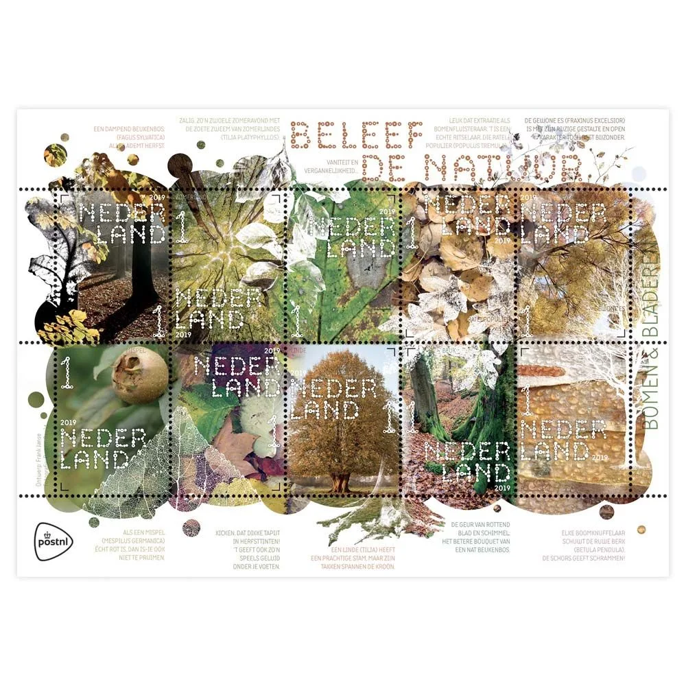 Niederlande 2019 Erlebe die Natur Bäume Blätter V3778-3785 Bogen postfrisch