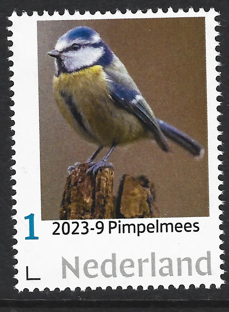 Pays-Bas 2023-9 Mésanges Tits: Mésange bleue Blue tit neuf/nmh