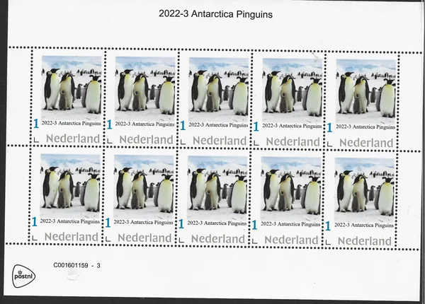 Nederland 2022-3 Antarctica Pinquins vel/sheetlet postfris/mnh