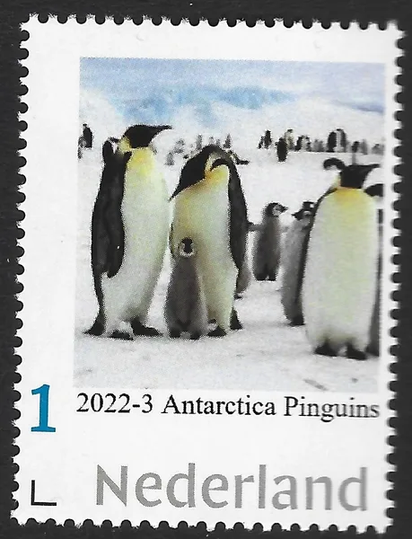 Netherlands 2022-3 Antarctica Penguins MNH