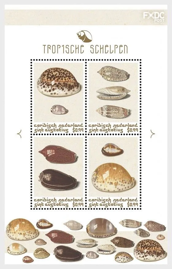 Caribbean Netherlands St Eustatius 2018 Shells (brown) block-m/s MNH