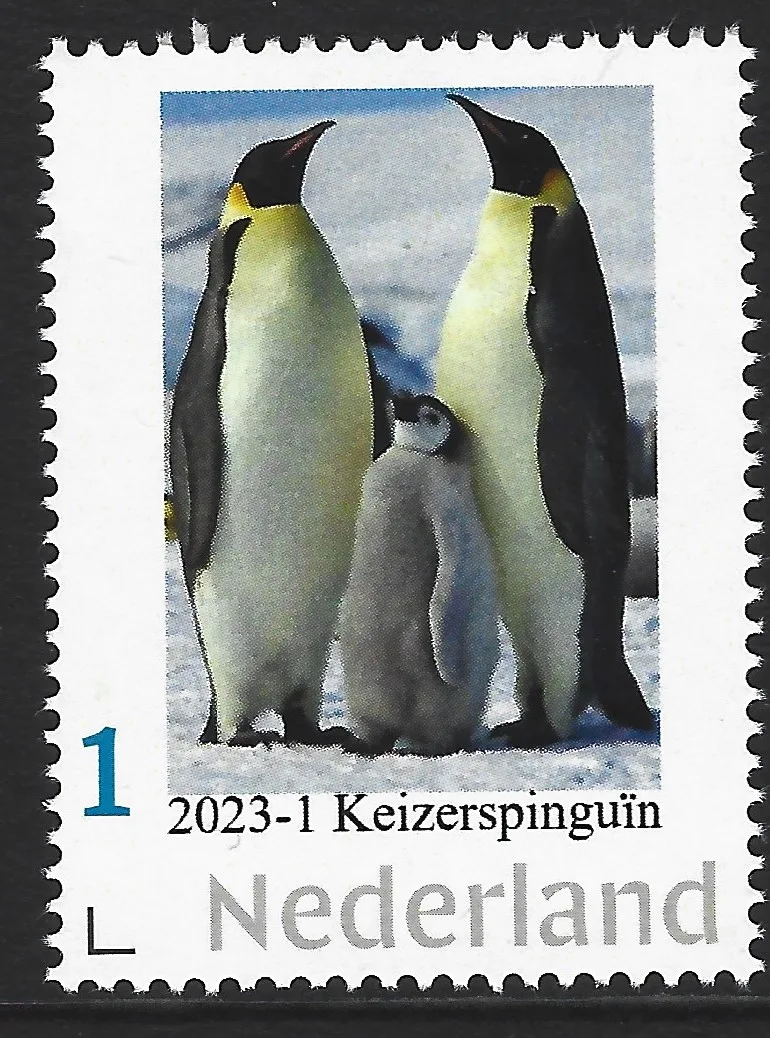 2023-1 Antarctica Keizerspinguin - Emperor penquin postfris/mnh