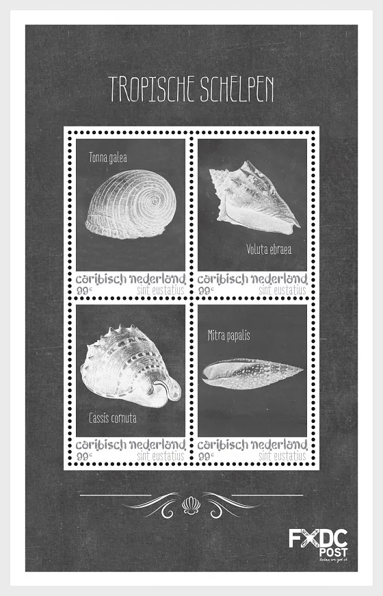 Caribbean Netherlands St Eustatius 2018 Shells (black-white) block-m/s MNH
