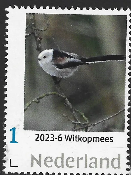 Netherlands 2023-6 Tit: Long Tailed Tit MNH