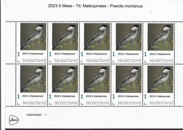 Netherlands 2023-5 Tits: Willow Tit Poecile montanus souvenir sheet unmounted MNH