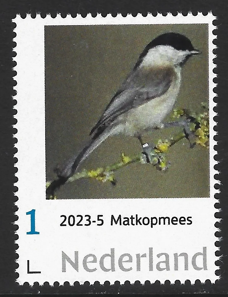 Niederlande 2023-5 Mezen - Tits: Willow tit Poecile montanus postfrisch/mnh