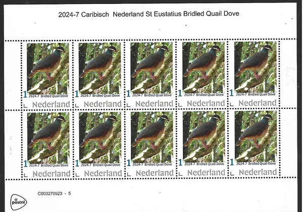 Netherlands 2024-7 Caribbean Netherlands Eustatius Bridled Quail dove sheetlet MNH