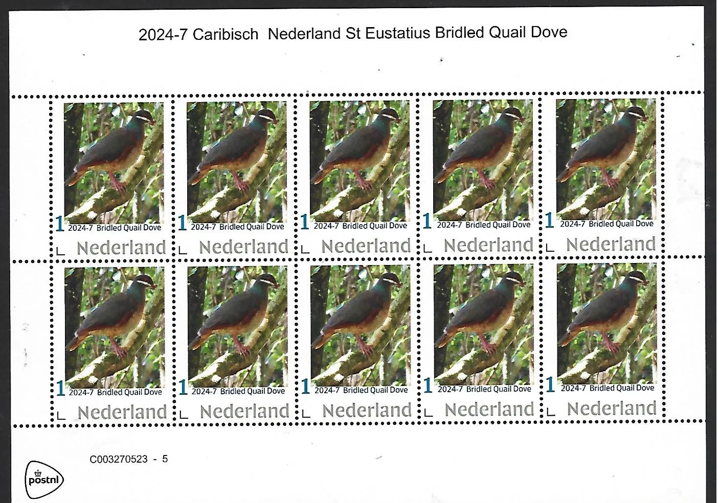 Pays-Bas 2024-7 Caraïbes Néerlandaises Eustatius Tourterelle bridée feuillet neuf/mnh